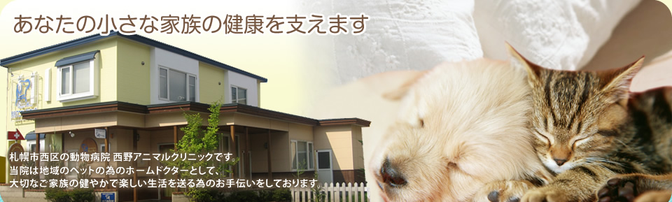 あなたの小さな家族の健康を支えます -札幌市西区の動物病院 西野アニマルクリニックです。当院は地域のペットの為のホームドクターとして、大切なご家族の健やかで楽しい生活を送る為のお手伝いをしております。